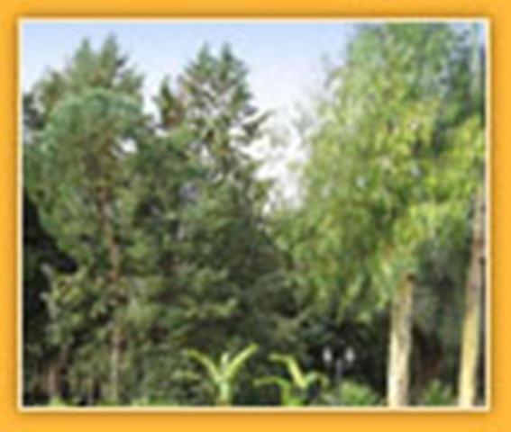 Villa Mado Ceglie Messapica Exterior foto